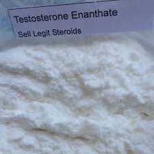 Testosterone Enanthate Powder