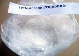 Testosterone Propionate Powder